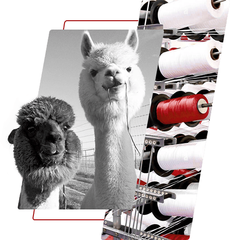 Benang poliester yang dicelup